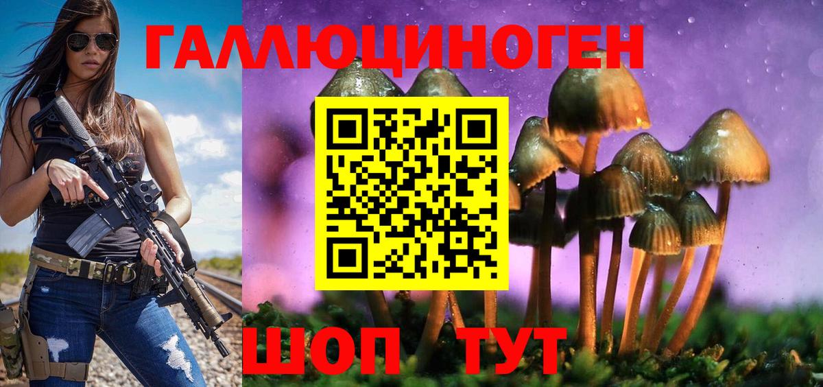 Псилоцибиновые грибы MAGIC MUSHROOMS  Псилоцибиновые грибы Cubensis  Лыткарино  Вход с VPN 